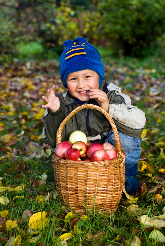 DIY Fall Ideas For Cooking, Crafting, & Décor